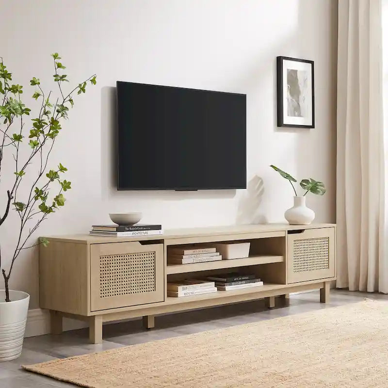 Meuble TV scandinave en rotin synthétique avec porte Middlebrook Designs