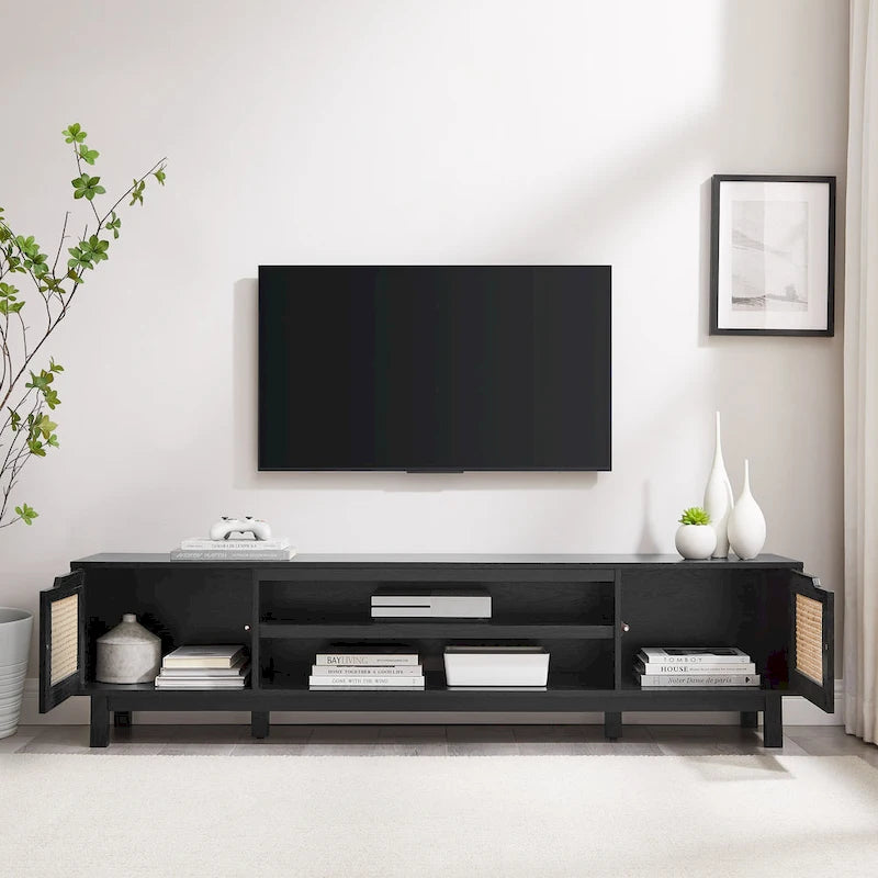 Meuble TV scandinave en rotin synthétique avec porte Middlebrook Designs